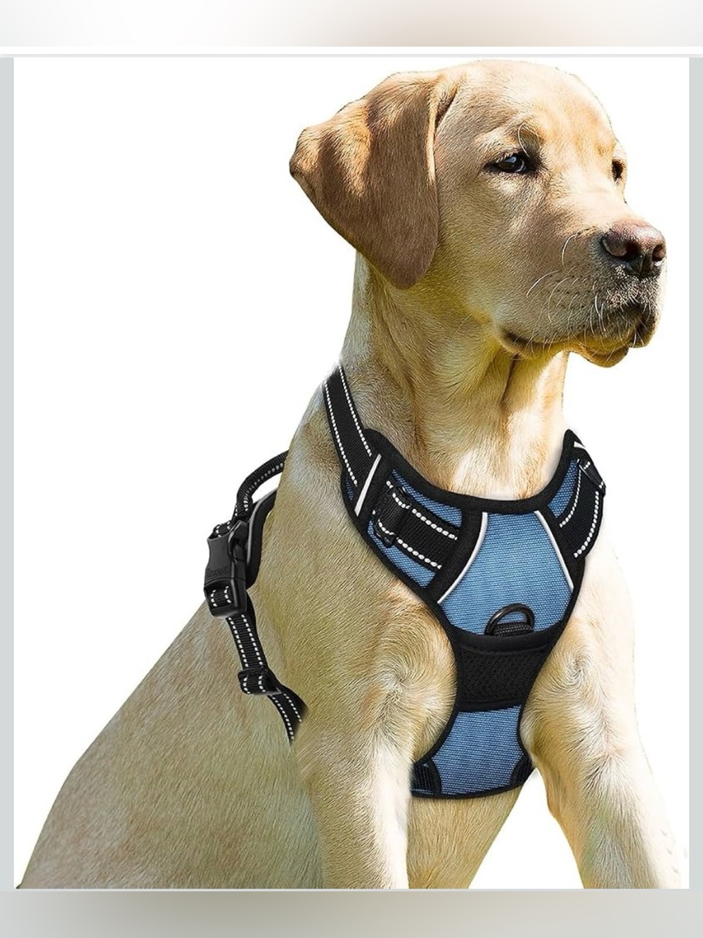 Dog Harness No Pull for Small Sized Dog Front Back Clips, Dog Vest 592/DB-1:v